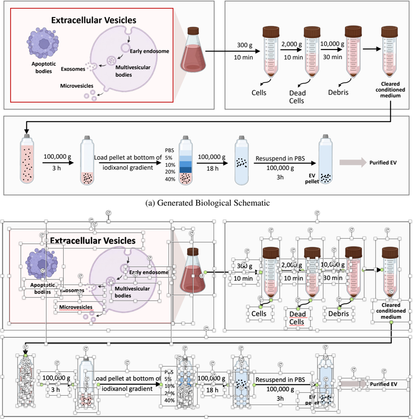 Figure 9: LiveFigure generation for a biological workflow.